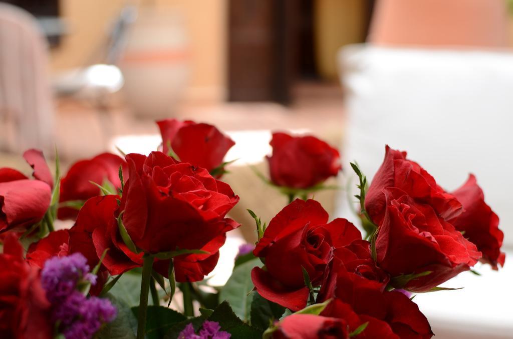 Riad Hadda Marrakesh Exterior foto